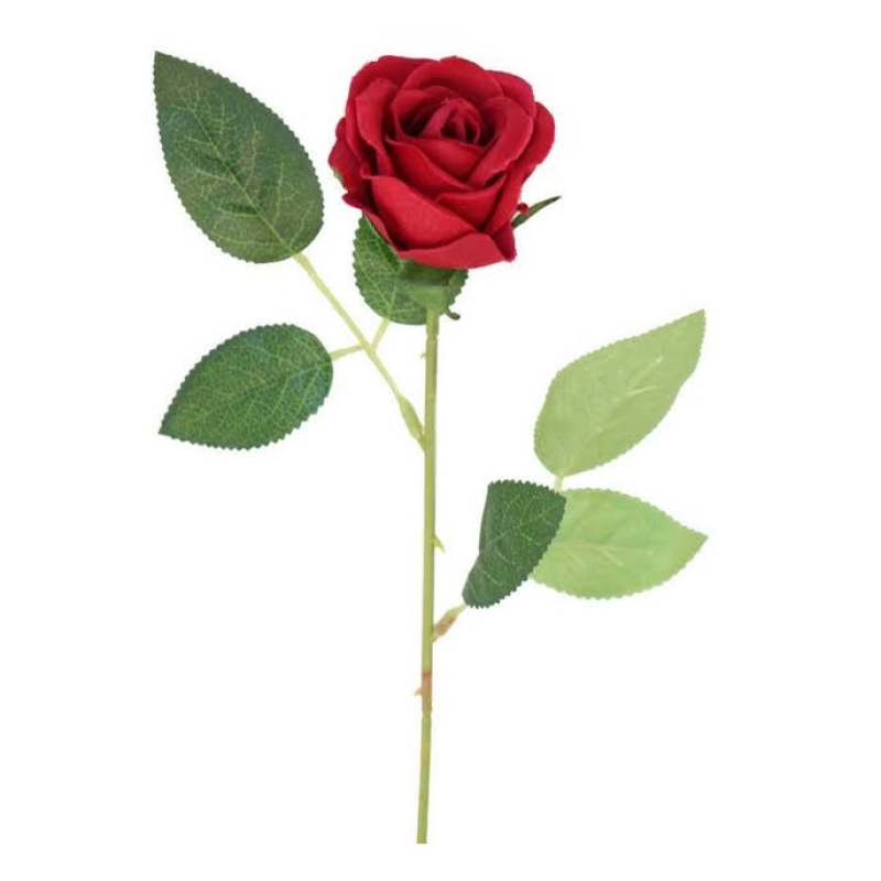 TEK GÜL KARIŞIK RENKLER