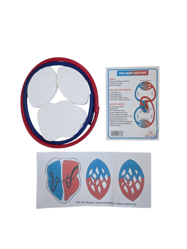 MRC DOLAŞIM SİSTEMİ 12 Lİ